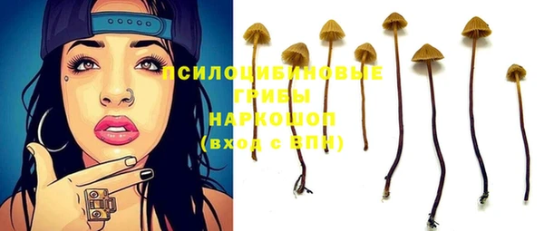 СК Арсеньев