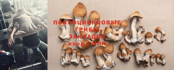 СК Арсеньев