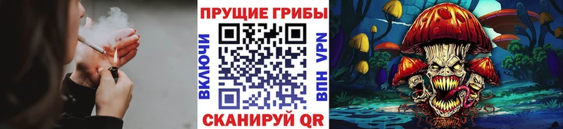 даркнет сайт  кракен ONION  Псилоцибиновые грибы GOLDEN TEACHER  Болхов 